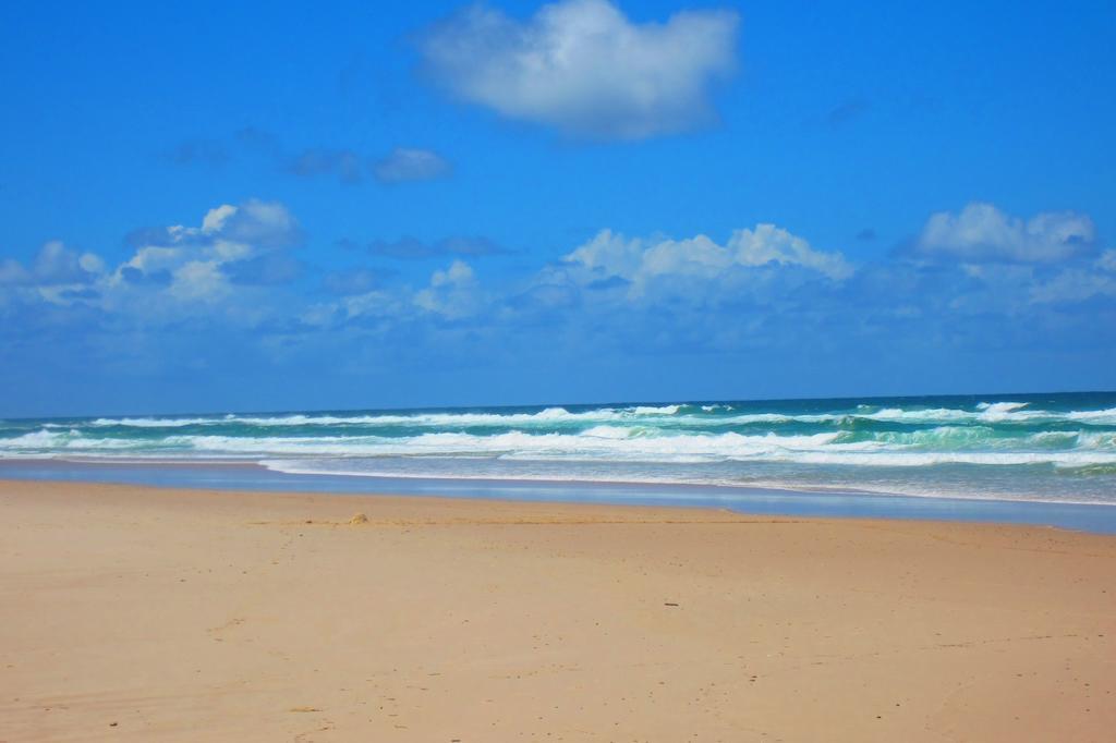 Pottsville Beach Motel المظهر الخارجي الصورة